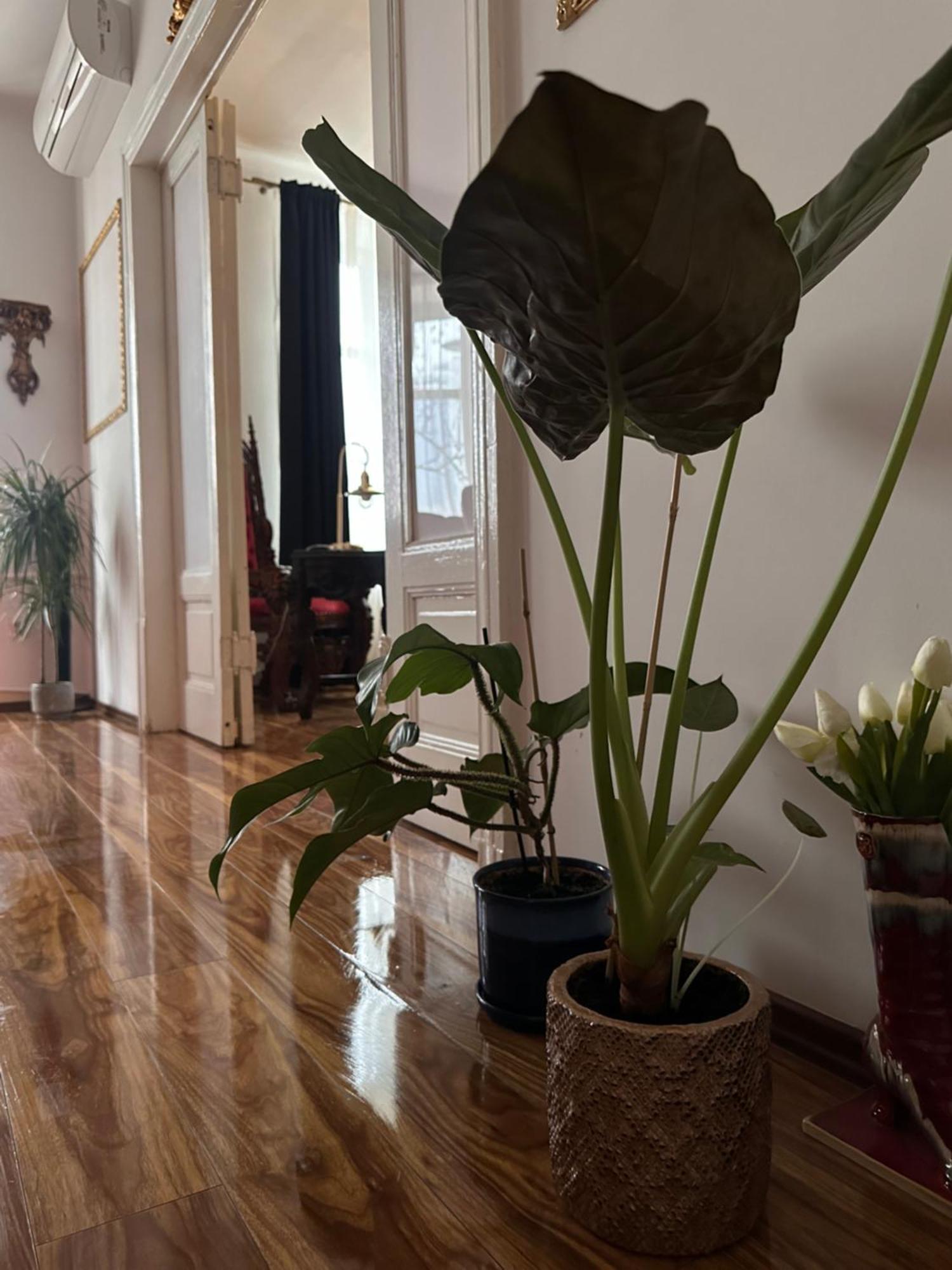 Exclusive Apartment Chmielna Street 95M2 Warszawa Eksteriør billede