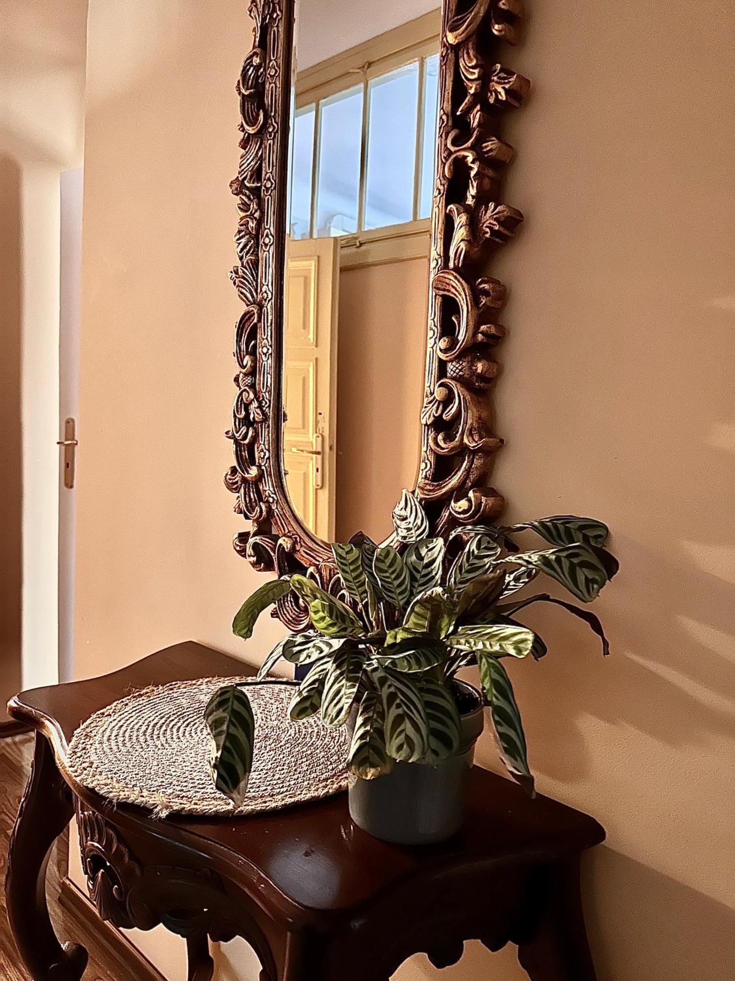 Exclusive Apartment Chmielna Street 95M2 Warszawa Eksteriør billede